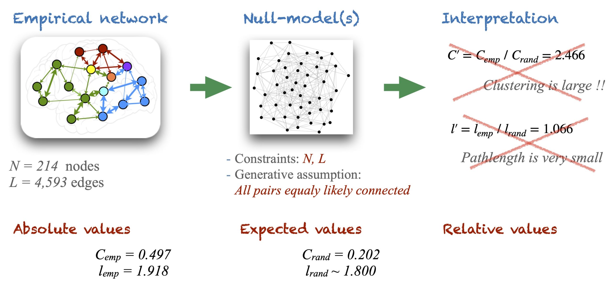 Popular network pipeline